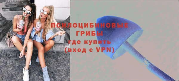 а пвп мука Абаза
