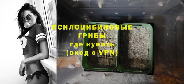 сатива Алзамай