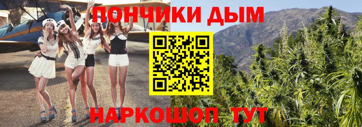 Канабис конопля Майский